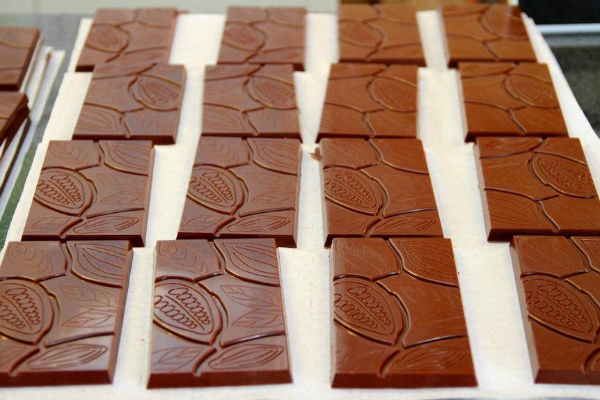 Chocolate bars from tiny Mudgee factory