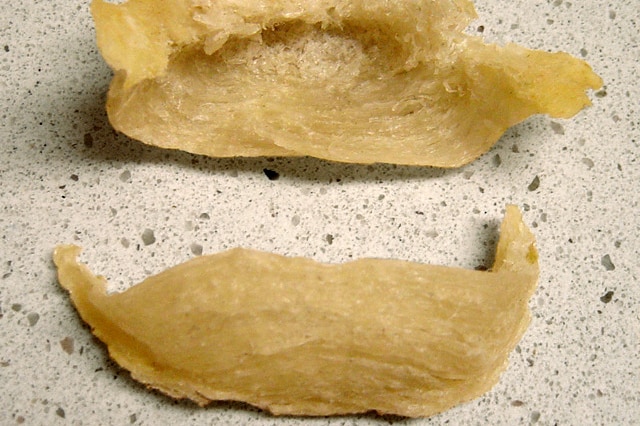 A bird's nest used in bird's nest soup.