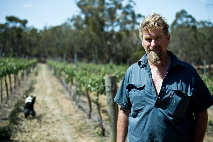 Andrew Toomey at his vineyard