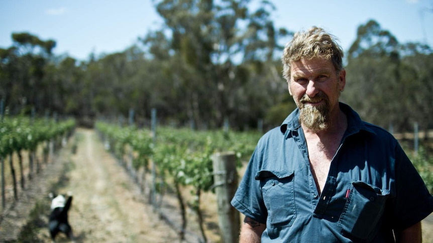 Andrew Toomey at his vineyard