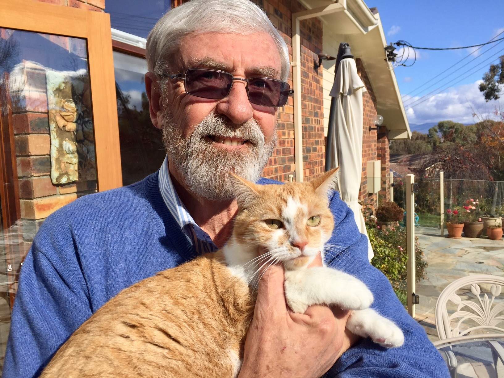 Cat fight brewing over possible expansion of Canberra pet containment