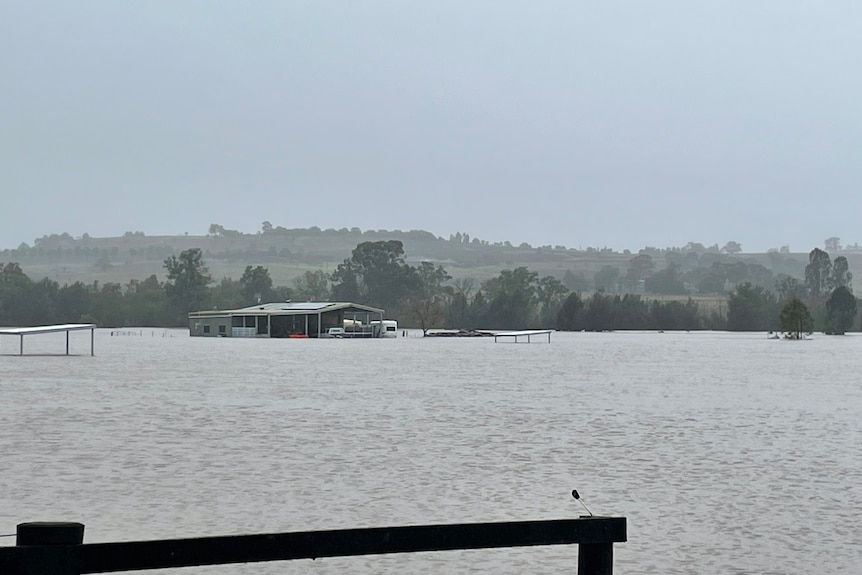 A flooded property with the roof of a shed in the distance