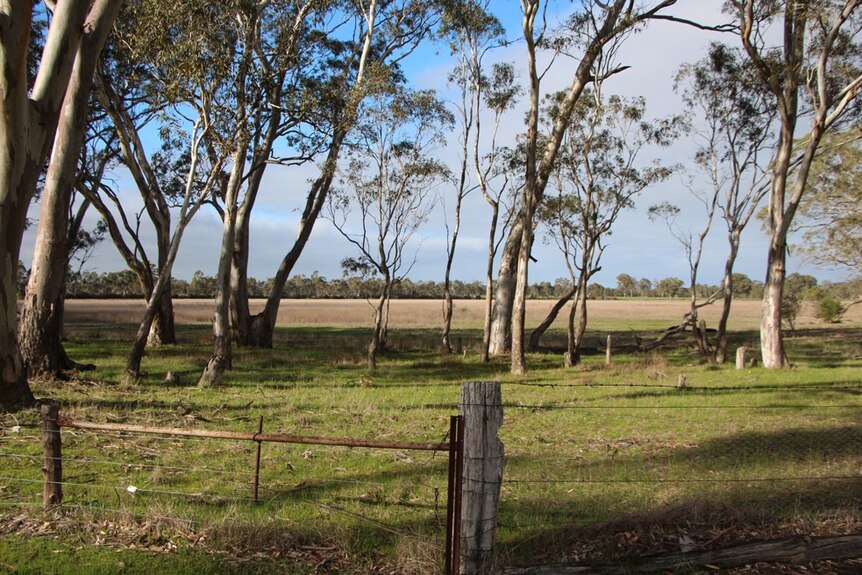 A fenced off dry wetland