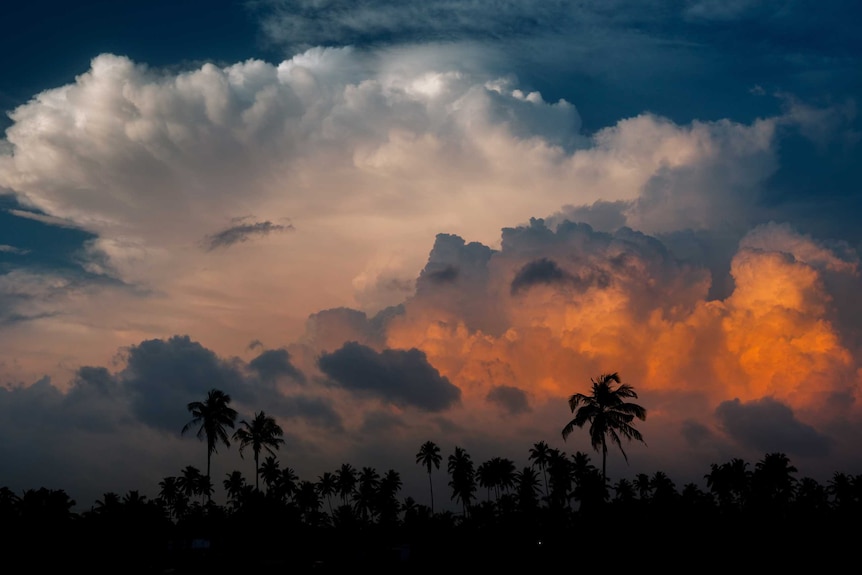 A tropical storm looms over a rainforest.