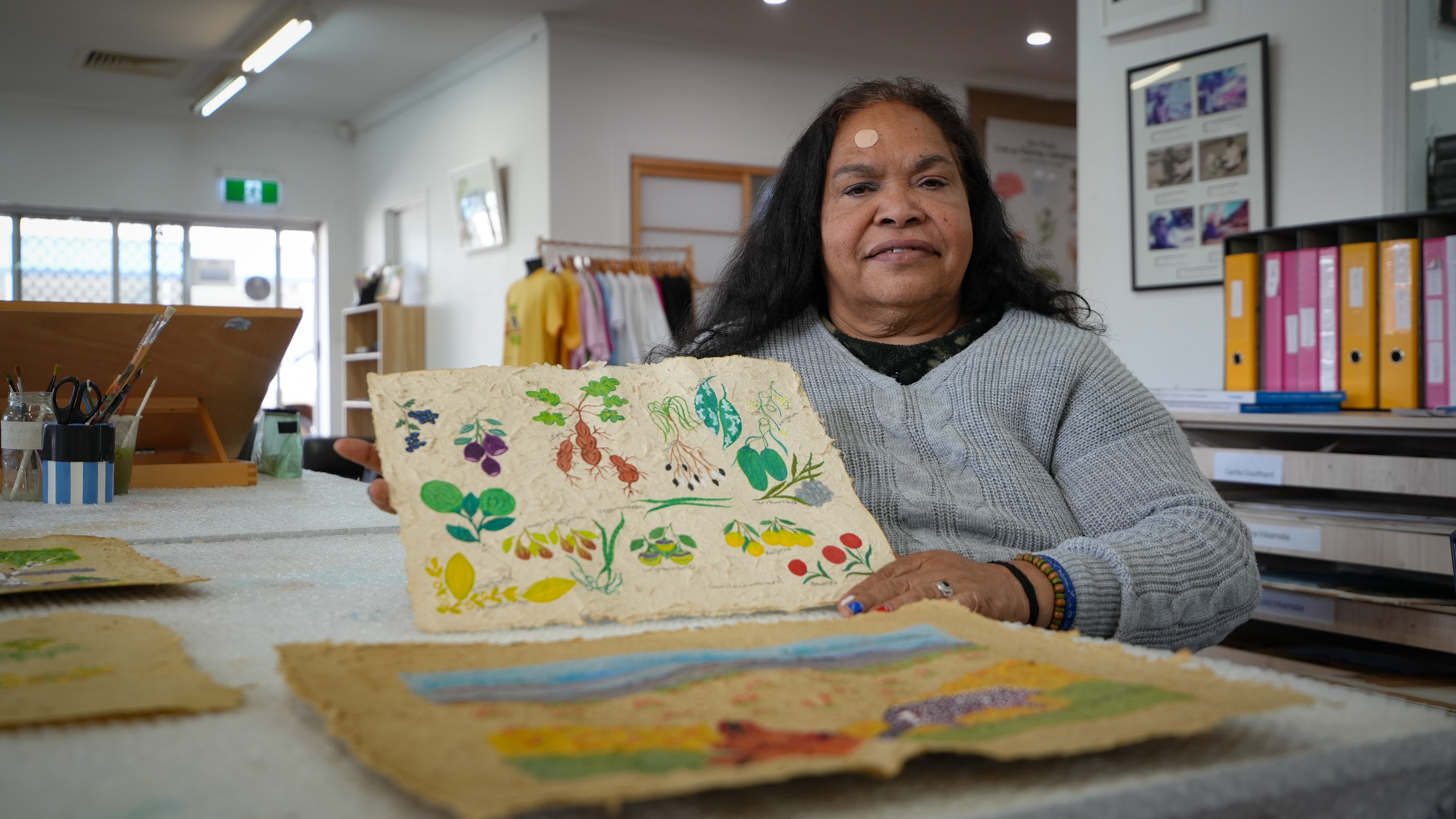 Alice Springs art exhibition highlights buffel grass devastation