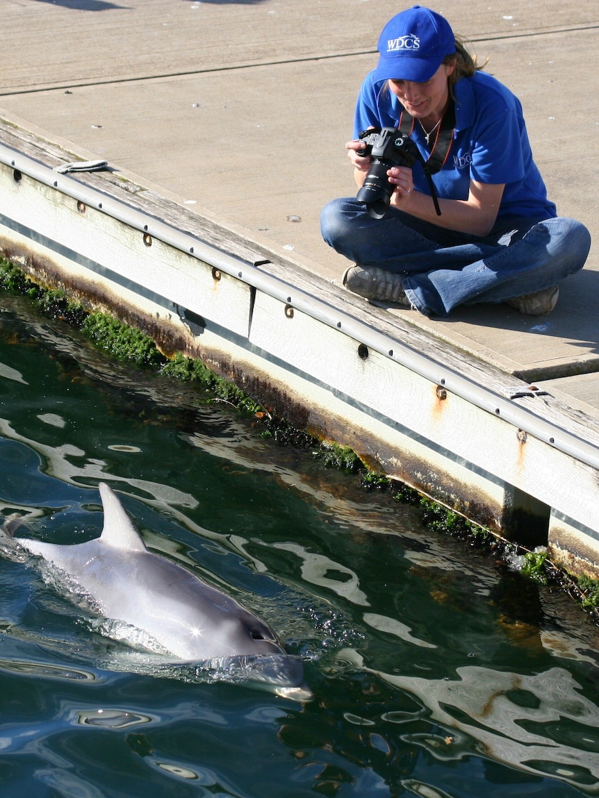 A woman sits close to a dolphin with her camera