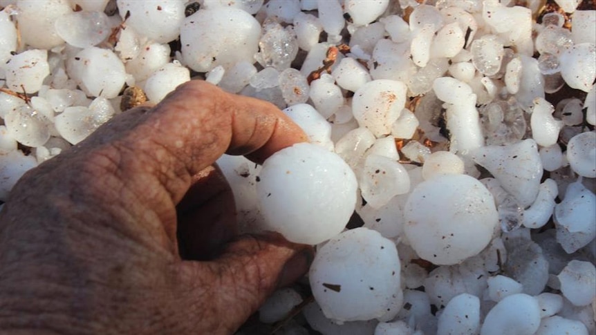 Hail stones as big as golf balls fell at East Maya on Saturday