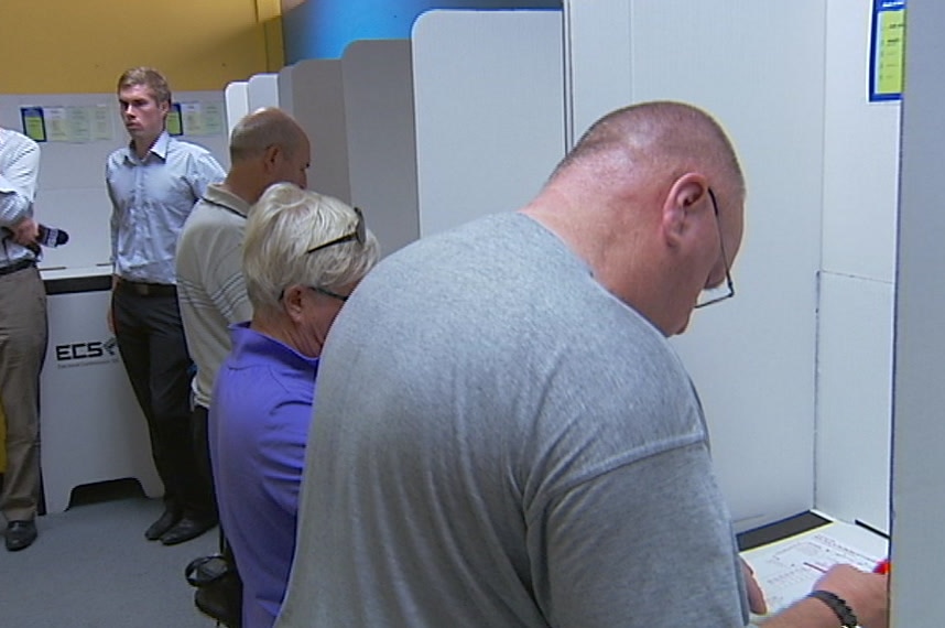 Early voters in a polling booth