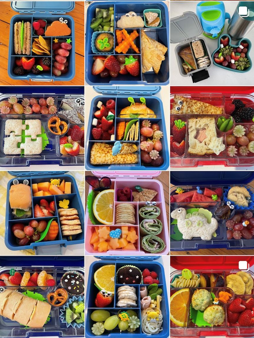 A screen shot of an instagram grid filled with colourful school lunches