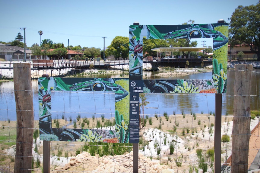 Augmented reality displays in front of a large suburban swamp