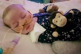 Baby Charlie Gard wears starred pyjamas and holds a monkey plush toy as he sleeps in the hospital attached to life support.