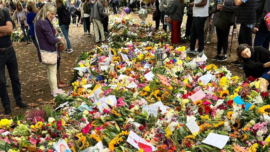 Bouquets of flowers on the ground in a park