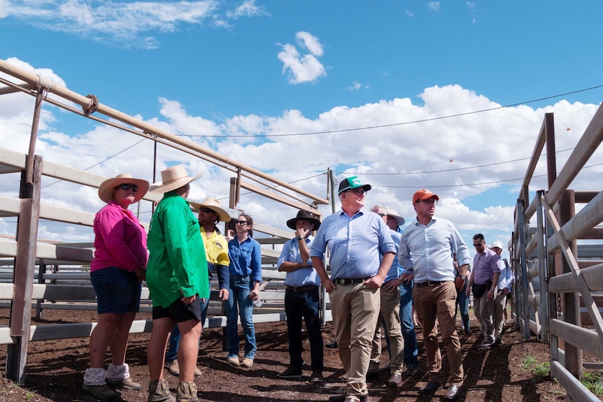 The PM walks through a saleyards corridor.