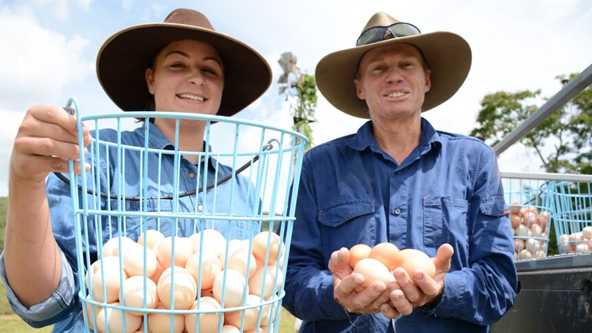 Farmhand Sarah Woodsman and owner Rob Bauman out collecting free range eggs at Freckle Farm.