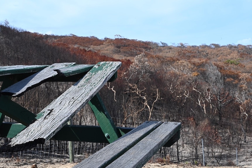 A picnic table damaged by bushfires at Happy Valley on Fraser Island.