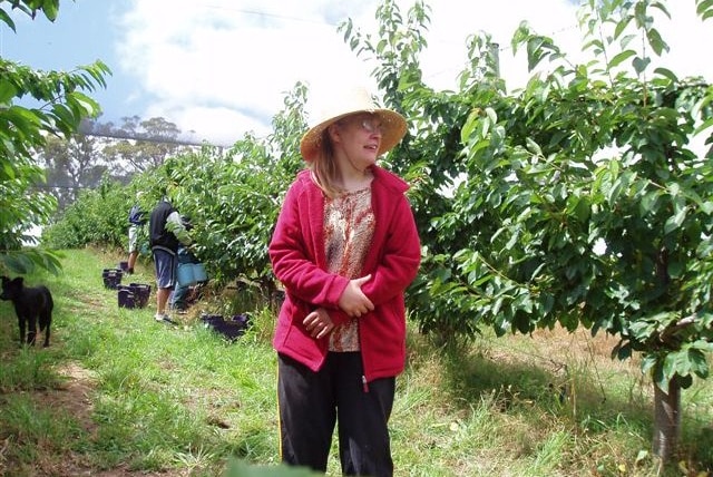 Amy Gallasch standing among fruit trees