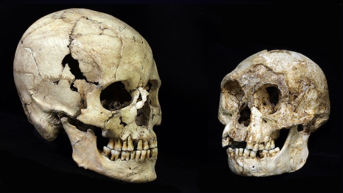 Modern human and 'hobbit' skull