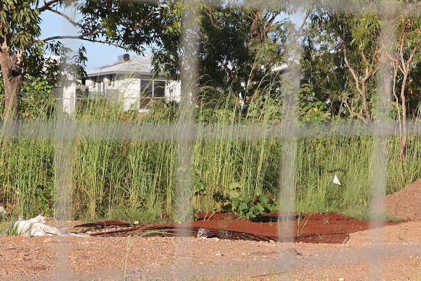 Overgrown grass and disused fences within the Mitchell Creek Green park.