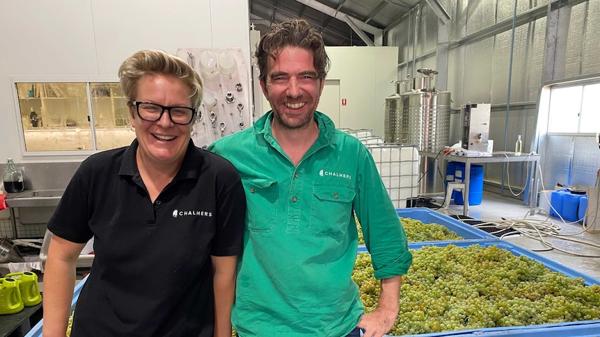 A woman and a man in a winemaking facility beside crates of grapes.