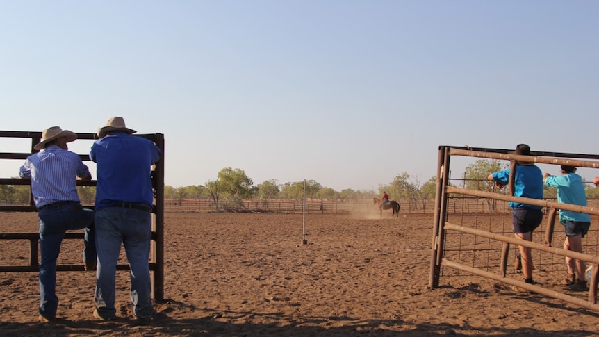 four men leaning on fences watching a man on a horse in a large dirt yard