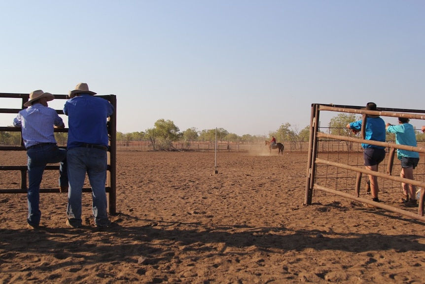 four men leaning on fences watching a man on a horse in a large dirt yard