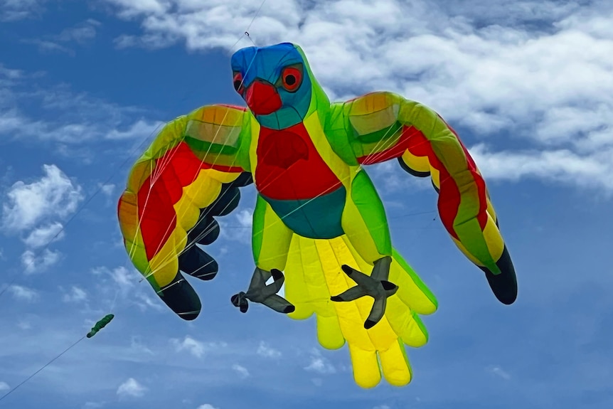 A brightly coloured fabric kite in shape of parakeet soars in a blue sky splattered with clouds. 