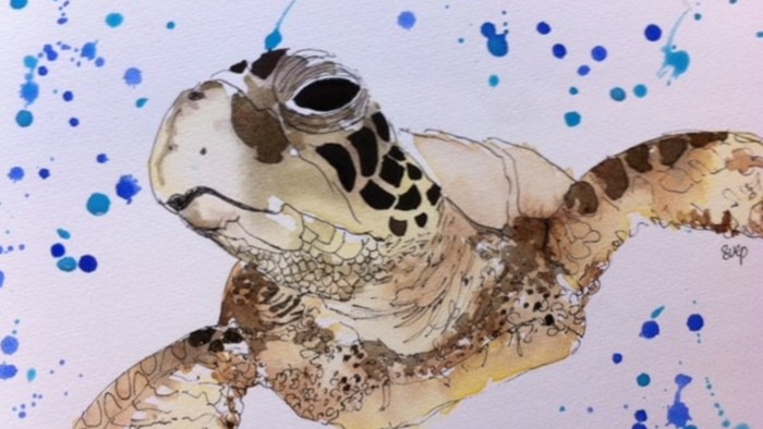 Painting of a reef turtle by Sue Pillans