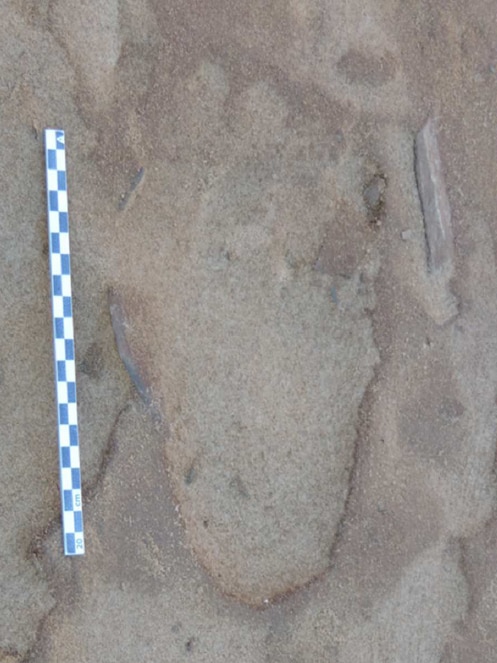 Fossilised Neanderthal footprint