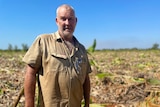 A middle aged male farmer in front of knocked down banana plants