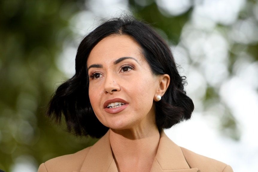 a woman speaking to the media outdoors