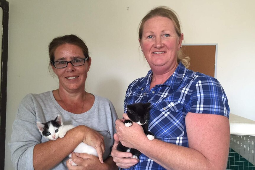 Megan Ambrus (L) Far South Cat and Kitten Rescue and Alison Clarke (R) Far South Wildlife Rescue and Care