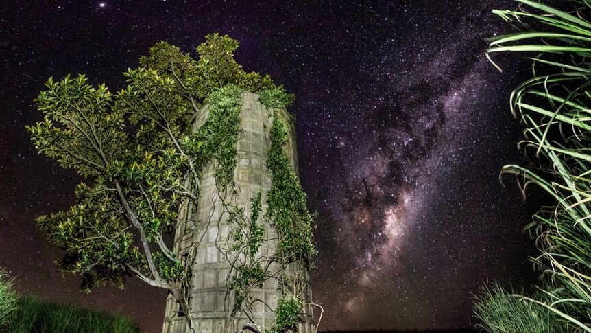 Silo with tree growing from it and night sky in background