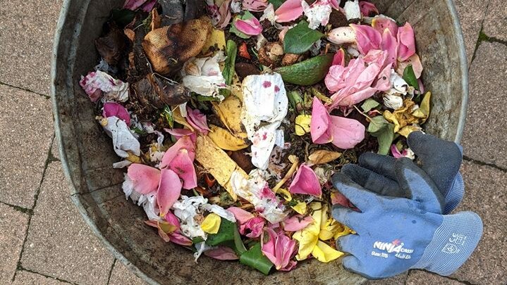 Flower petals mixed into a bin full of compost.