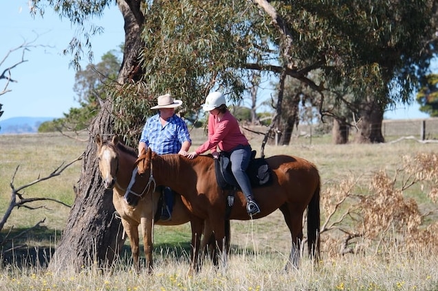 Two people sitting on horses in a paddock, surrounded by trees. 