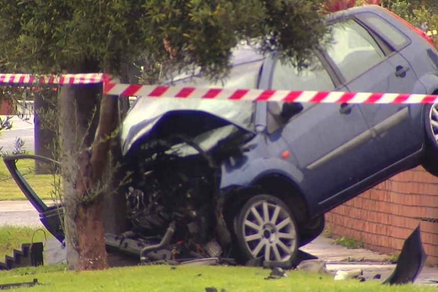A car crashed into a tree on a suburban street, with the front of the blue hatchback completely in ruins.