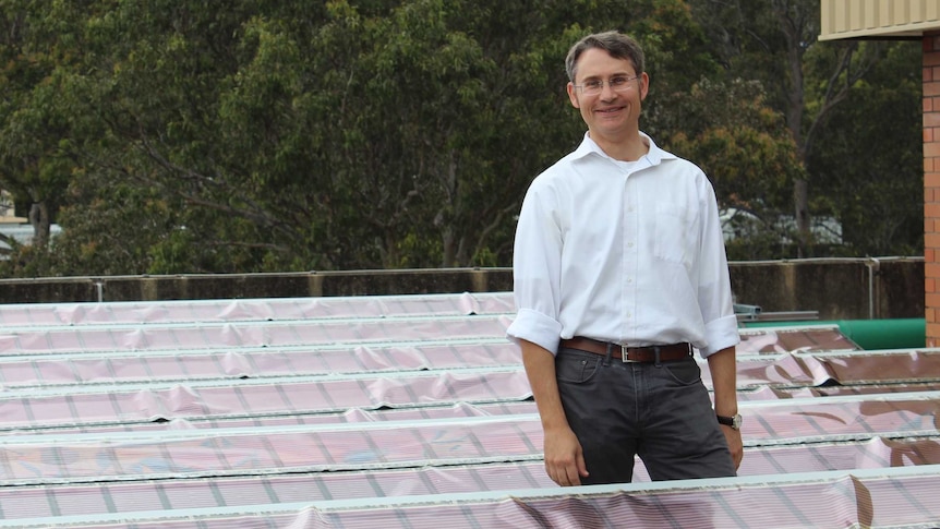 Professor Paul Dastoor at the trial site at the University of Newcastle.