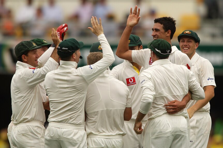 First Test wicket ... Mitchell Starc is congratulated by his team-mates after dismissing Brendon McCullum.