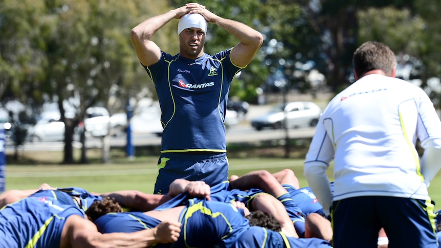 Australian captain Nathan Sharpe watches the Wallabies scrum in training.