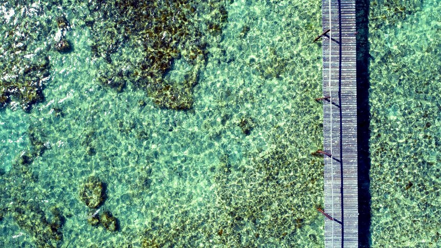 The crystal clear waters of the Abrolhos