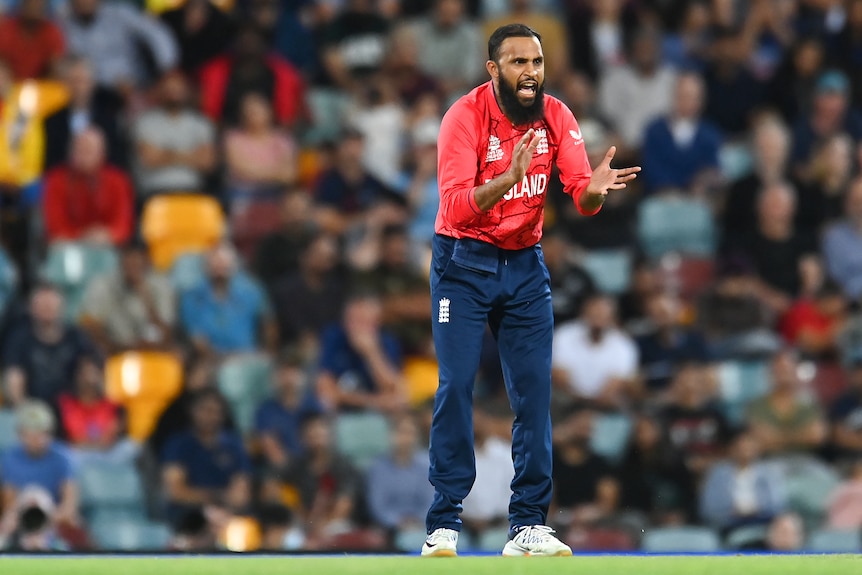 Adil Rashid shouts and claps his hands together.