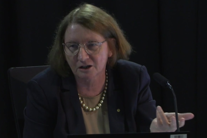 Commissioner Catherine Holmes asking a question.