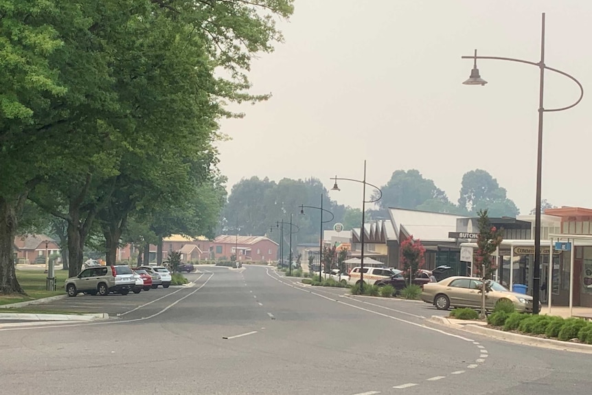 The main street of Tallangatta, Victoria, with shops on the right and trees on the left of the street.