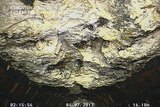 A congealed 15-tonne 'fatberg' hangs from the roof of a London sewer.