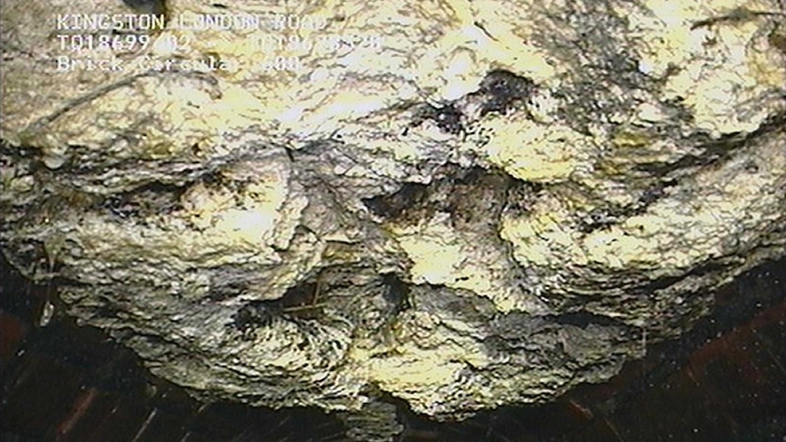 A congealed 15-tonne 'fatberg' hangs from the roof of a London sewer.