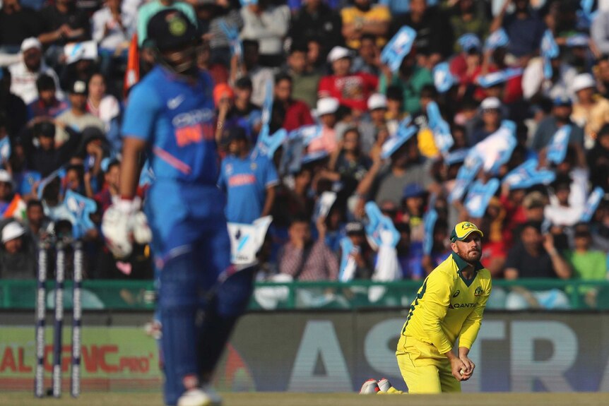 Aaron Finch holds a cricket ball on his knees after taking a catch to dismiss Rishabh Pant.