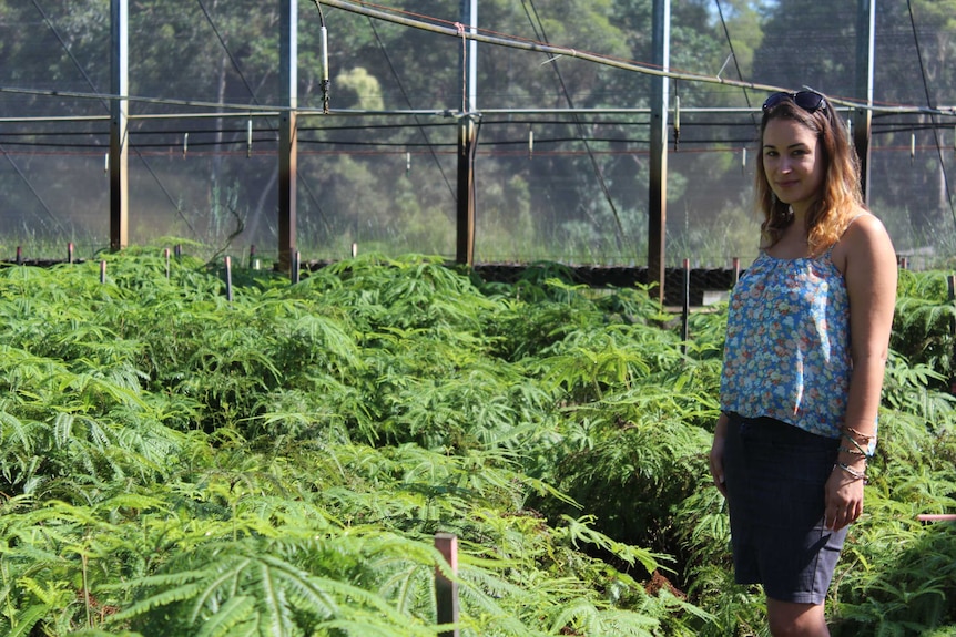 Emily Rigby surrounded by umbrella ferns in greenhouse