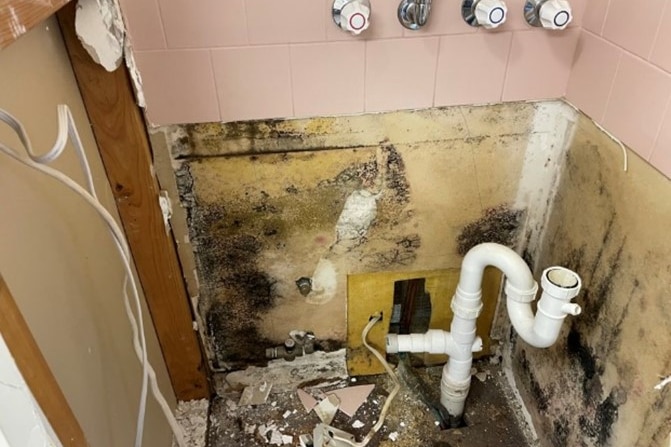mould on walls and broken sink