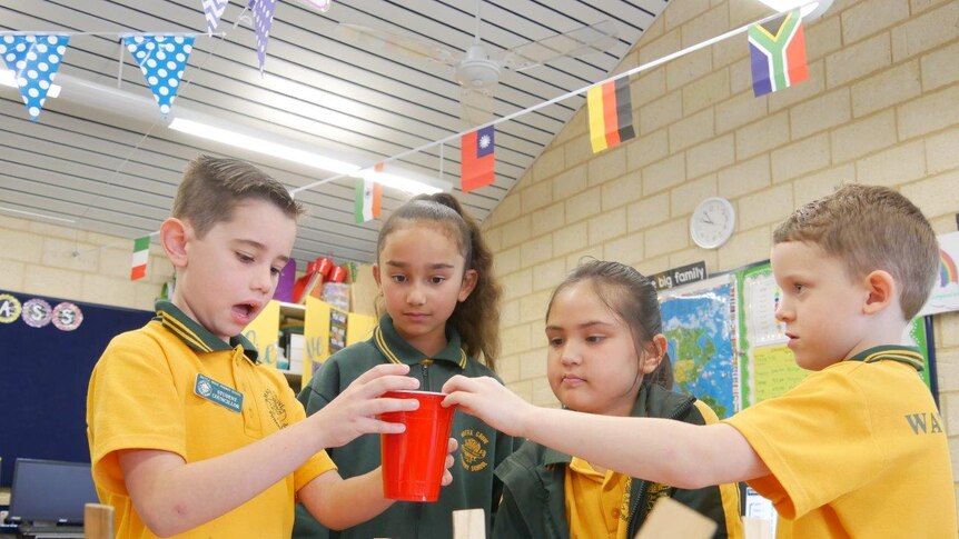 Four primary school students in a classroom using plastic cups on a table.