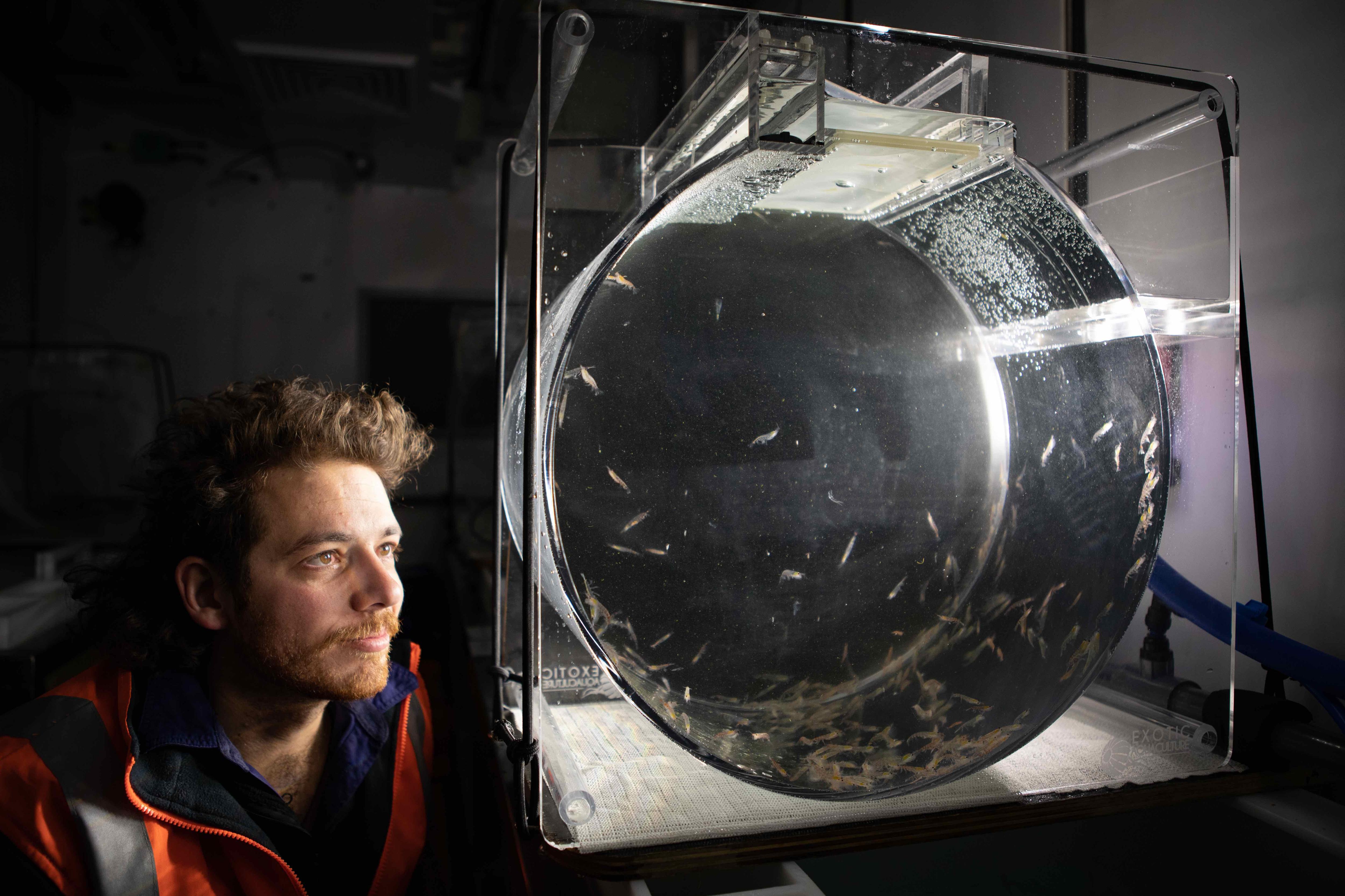 A young man crouches beside a cylindrical aquarium containing dozens of critters.
