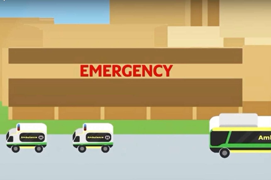 ambulances and ambulance bus graphic.